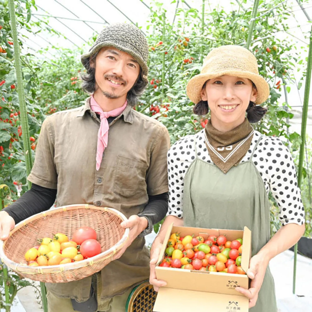農業を始めて気づいた下呂市の魅力　トマトを通じてふるさと下呂の風を届けたい　　 ～谷下農園～