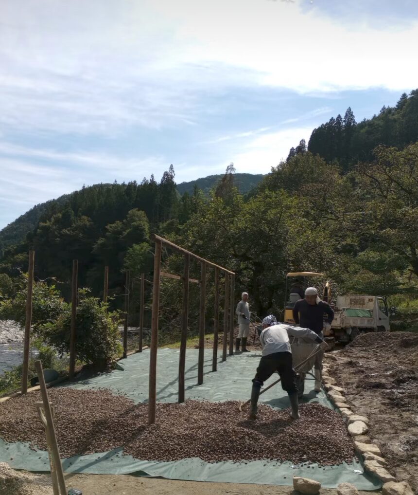 生まれ変わる野原のミュージアム