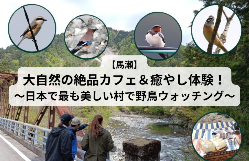 【馬瀬】大自然の絶品カフェ＆癒やし体験！～日本で最も美しい村で野鳥ウォッチング～のアイキャッチ画像